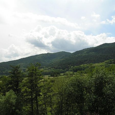 Wintzfelden A L'Arbre Vert מראה חיצוני תמונה
