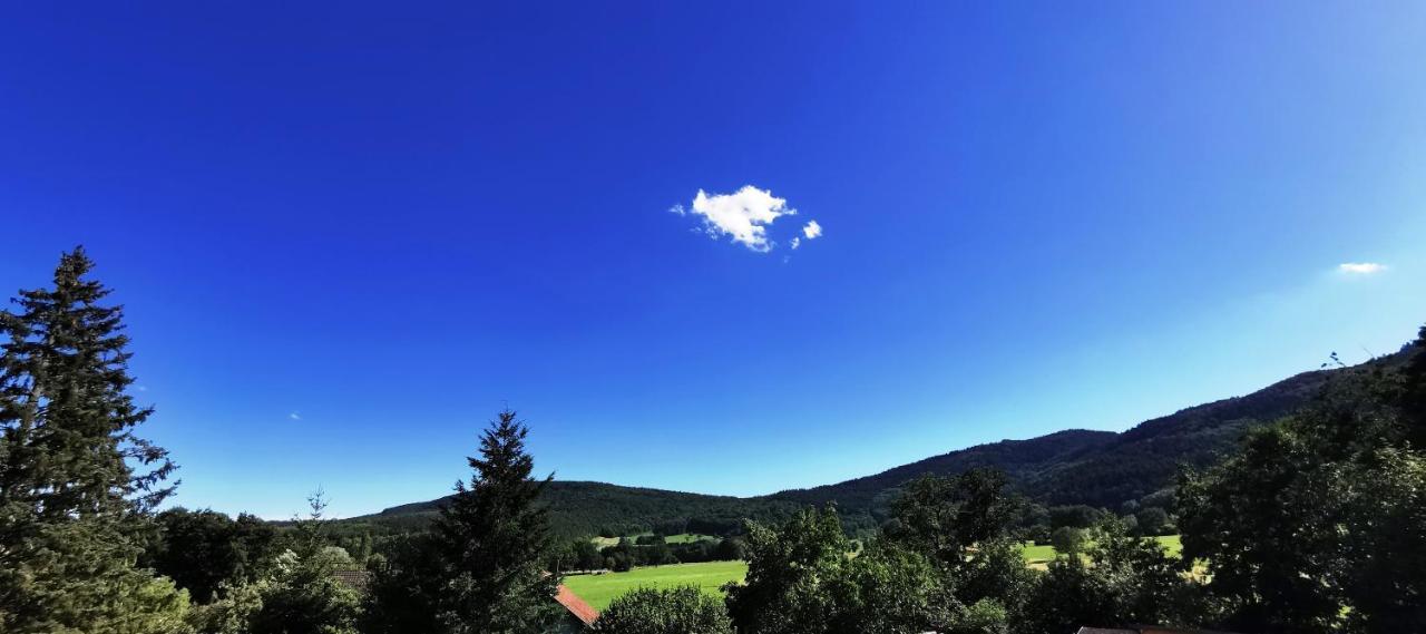 Wintzfelden A L'Arbre Vert מראה חיצוני תמונה